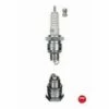 Bougie D'allumage NGK BP6HS -Motoculteur et accessoire Soldes 10092014 1