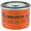 Filtre à Huile Lombardini 2 Filtre à Huile Lombardini -Motoculteur et accessoire Soldes 11014712 1