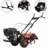 TRUE DEAL Cultivateur à Essence 6,5 Ch 196 Cc 2 TRUE DEAL Cultivateur à Essence 6,5 Ch 196 Cc -Motoculteur et accessoire Soldes 26123412 1