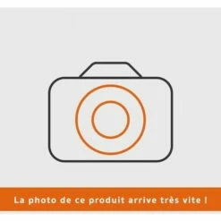 BRIGGS ET STRATTON Volant Magnétique Motoculteur Moteur Briggs & Stratton