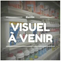 G�N�RIQUE Joint De Prise De Force LONCIN Pour Moteurs LC1P68FB, LC1P70FB. Origine 110830040-0001.